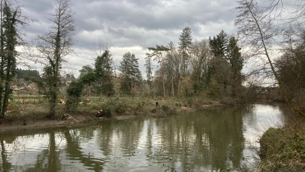 Rivière bordée par une berge arborée où plusieurs arbres ont été coupés, sous un ciel nuageux de fin d&rsquo;hiver.